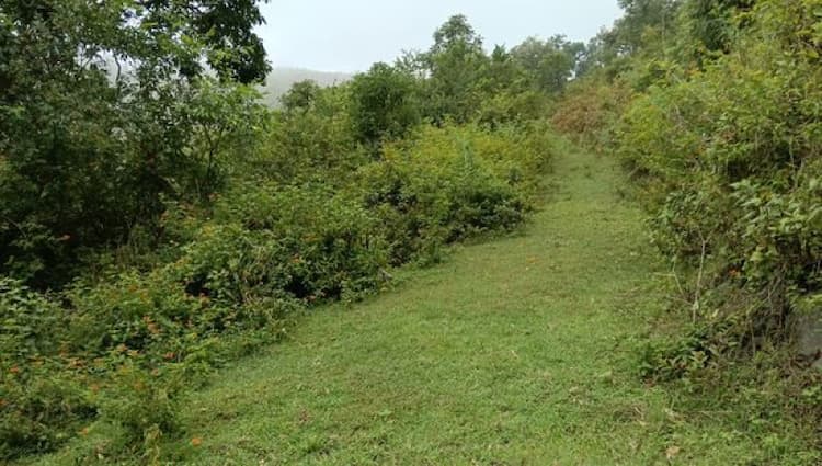 Low Budget Land for Sale