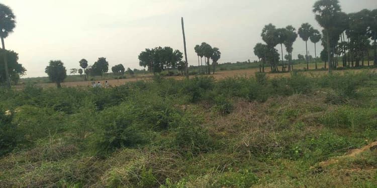 Plot sale