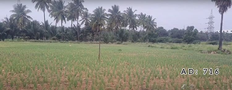 50 Cent Land for Sale