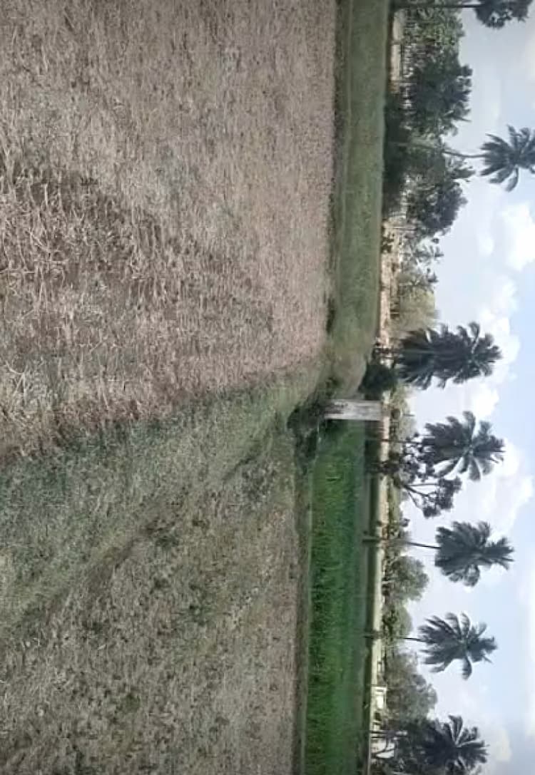 3 Acre land for sales