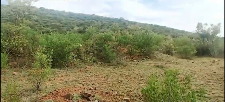 Low Budget Land for Sale