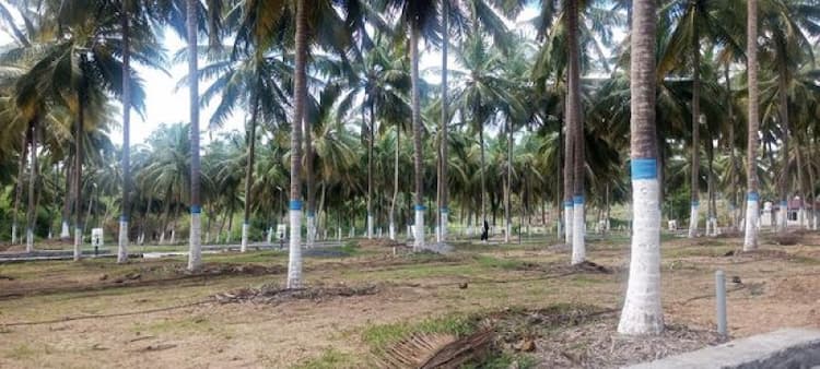 Land for Sale