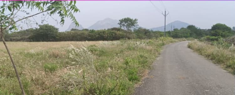 2.75 Acre Land for Sale