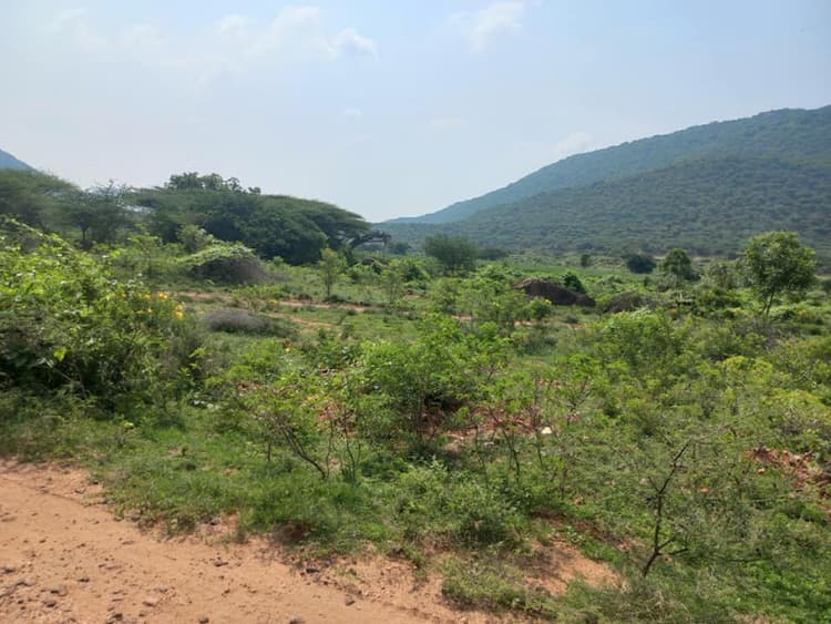 Single Property Image