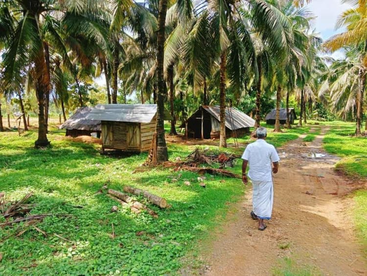 coconut thottam for sale.