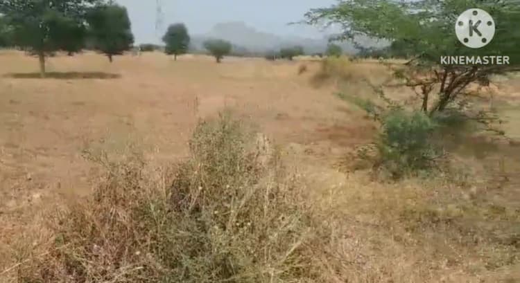 Low Budget Empty Land for Sale