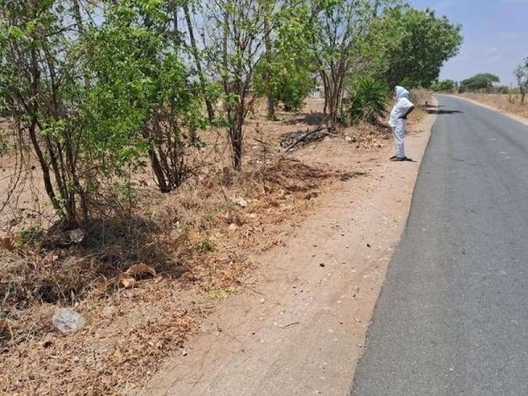 Single Property Image