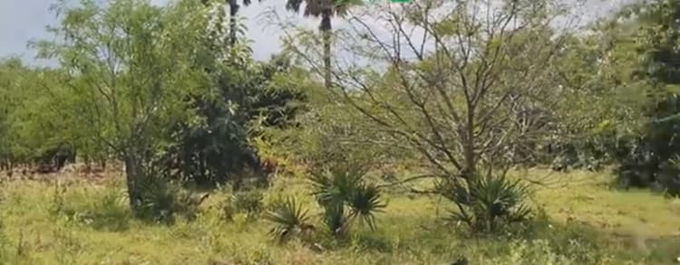 2 Acre land for sales