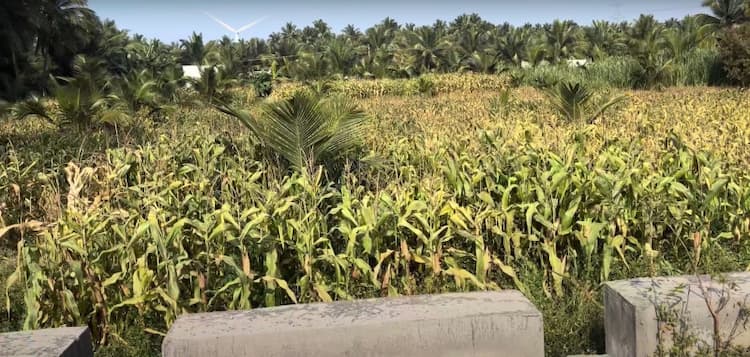 1 Acre Land for Sale