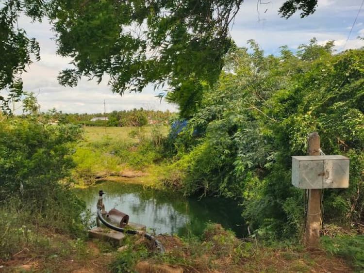 Single Property Image