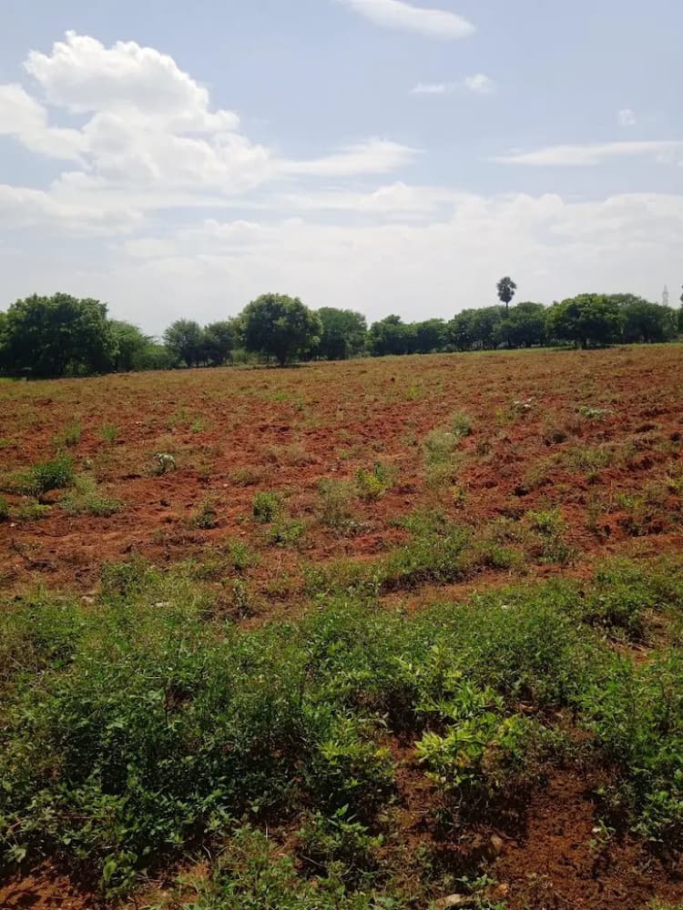 90 Acres Investment Land in Mulanur