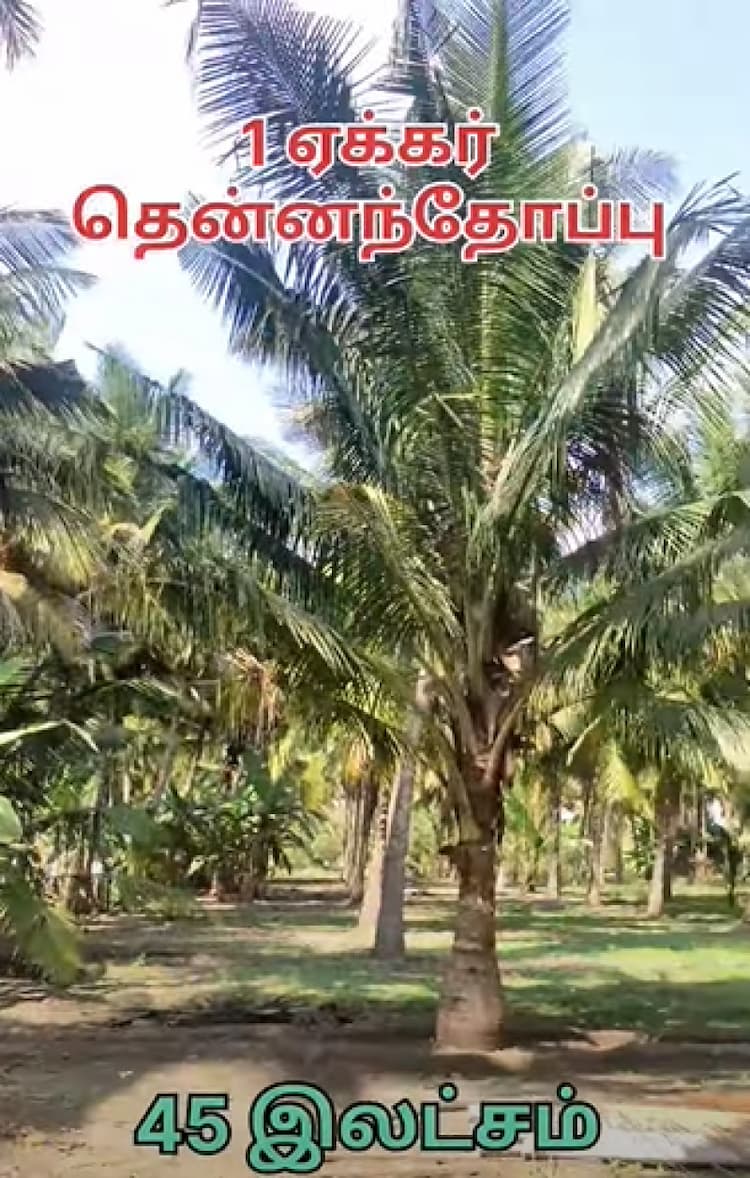 Single Property Image