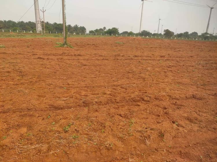 11.50 Acre Farm Land for Sale