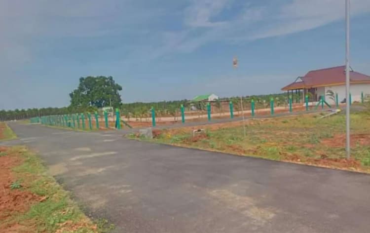 Single Property Image