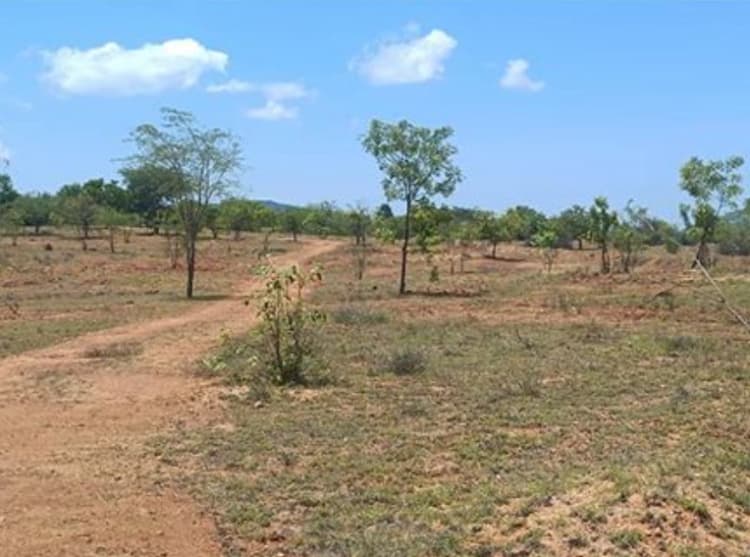 Single Property Image