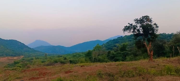 site for sale