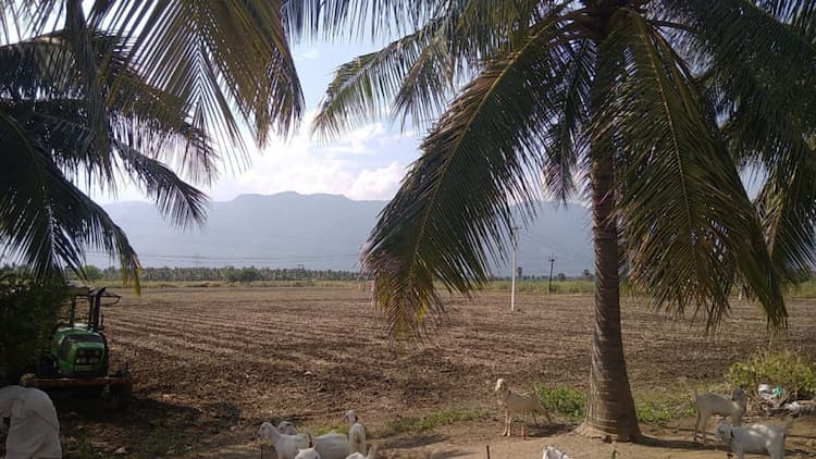 Land sale
