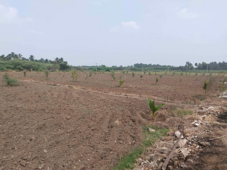 3.75 acers for sales