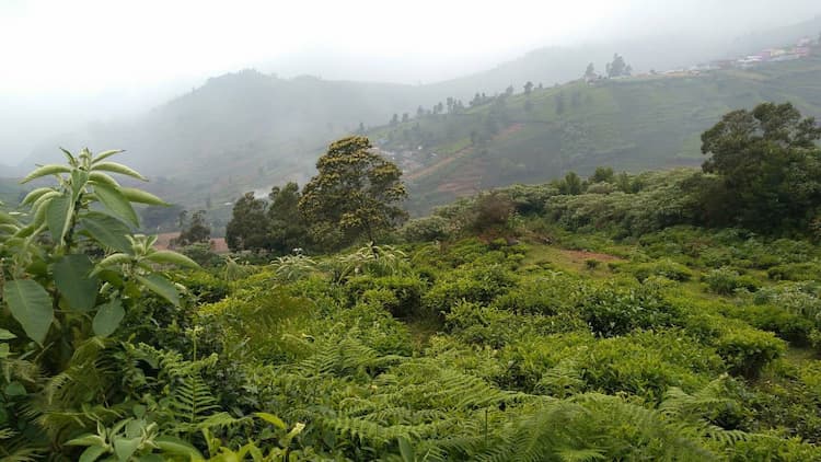 LAND FOR SALE IN KETTI