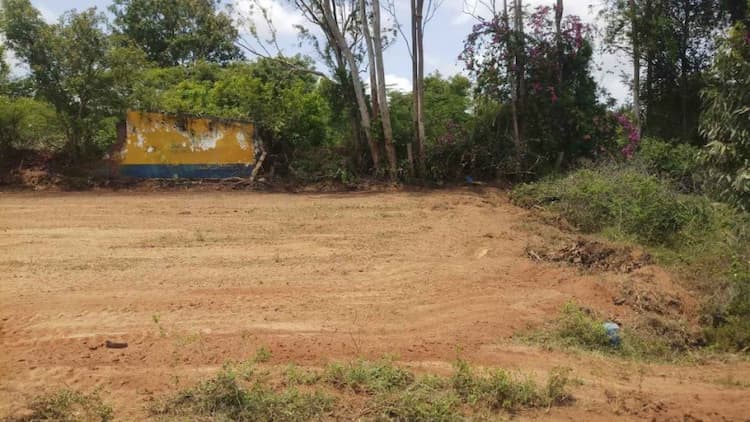 site for sale