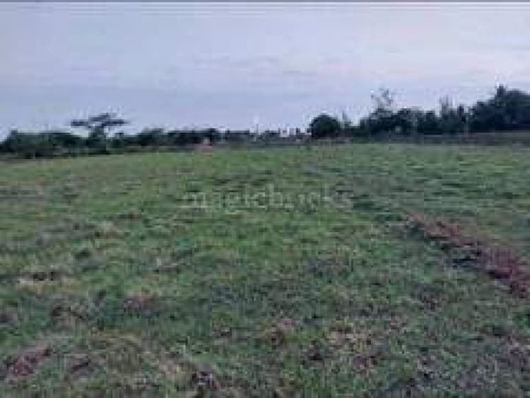 Plot for sale