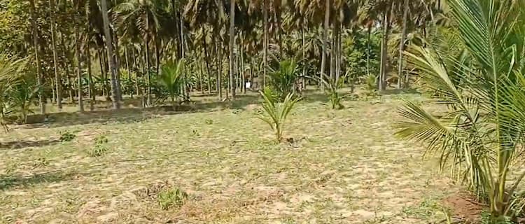 3.75 Acre Land for Sale