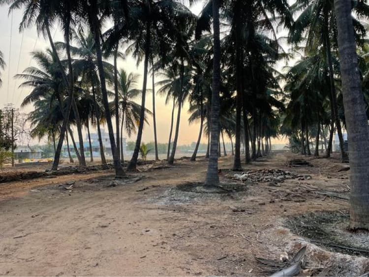 Land for Sale
