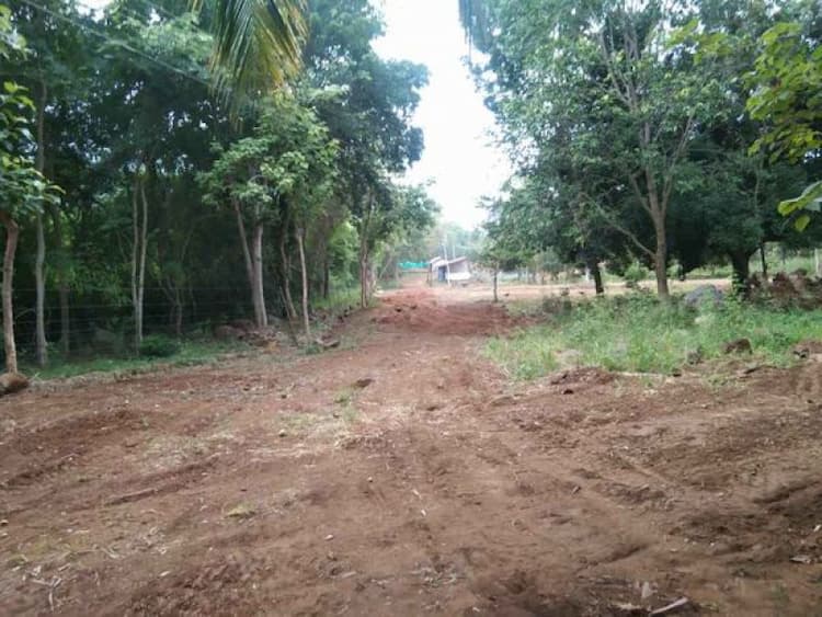 Farm land sale