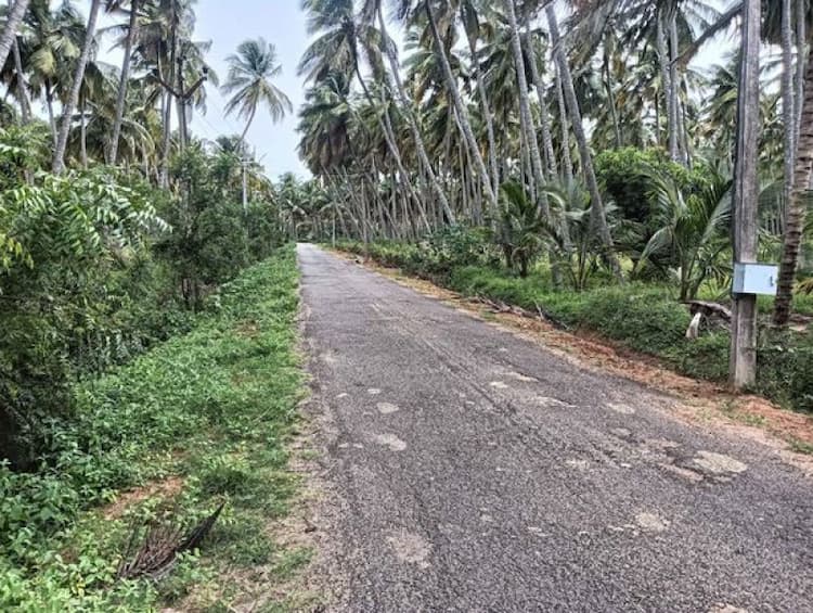 Single Property Image
