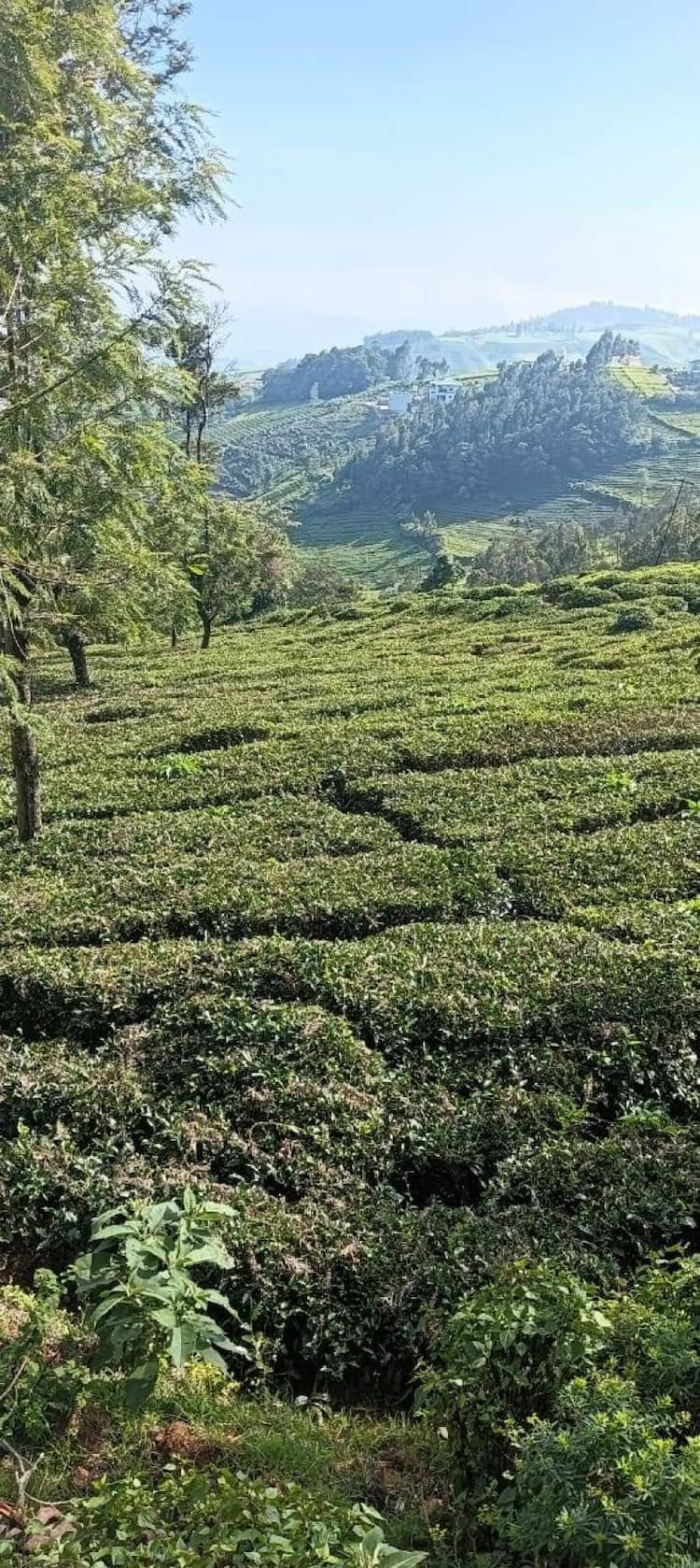 LAND FOR SALE IN OOTY COONOOR HIGHWAY ROAD 