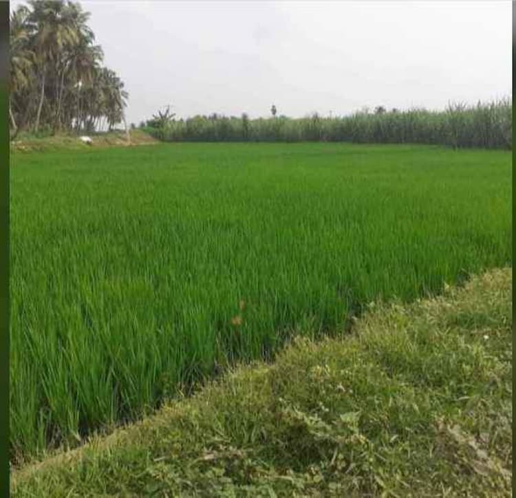 Single Property Image