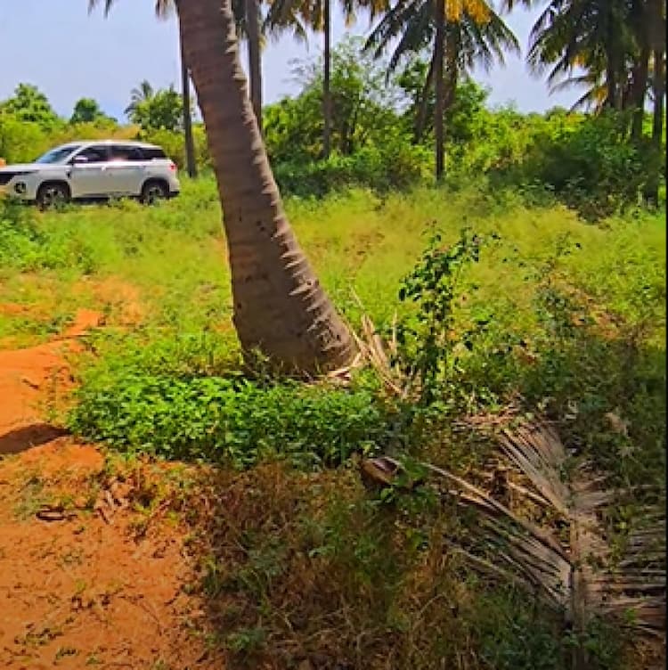 Single Property Image