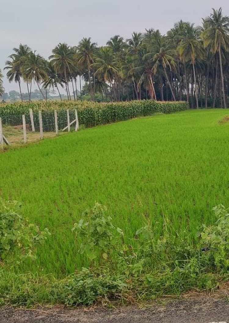 Single Property Image