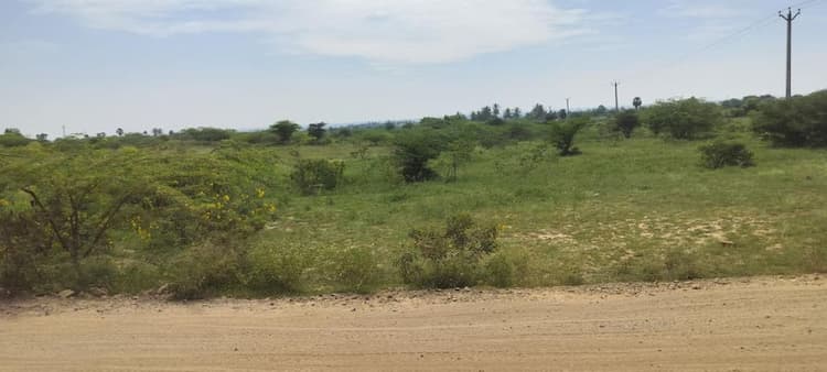 25 acres of land for sale