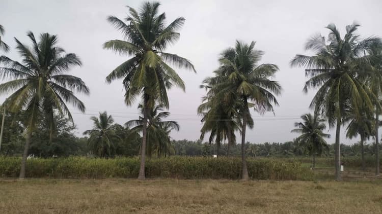 4 Acre Agri Land for Sale