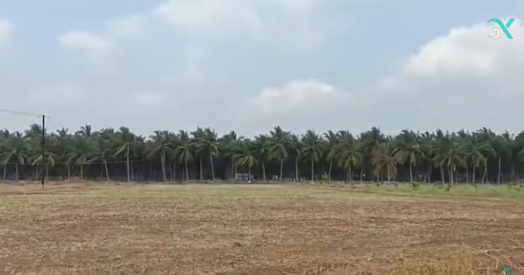 Agri Land for Sale