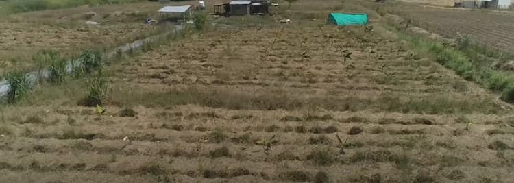 Low Budget Farm Plot for Sale