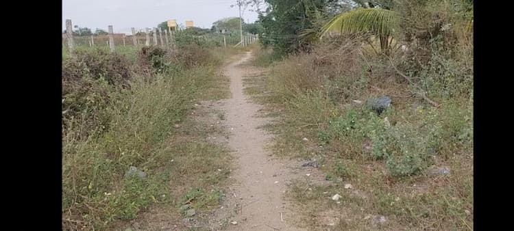 Agric land Sale Trichy .