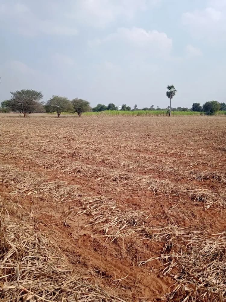 10 Acre Land for Sale