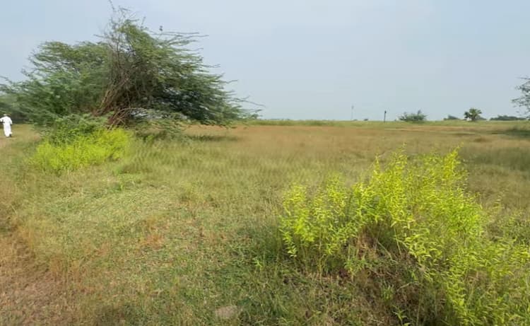 Land for sales