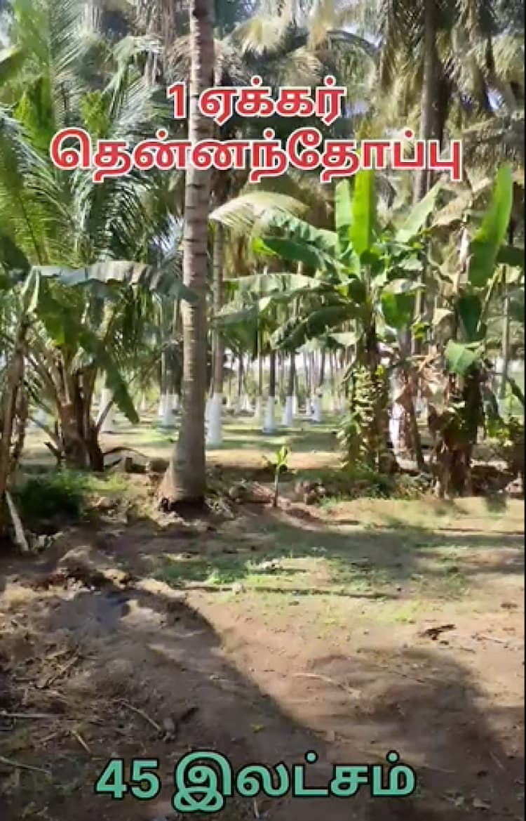 Single Property Image