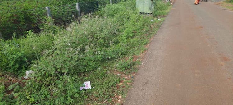 Single Property Image