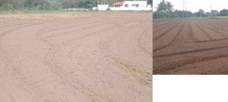 2 Acre Land for Sale