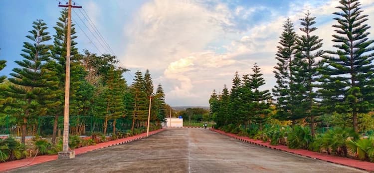 Residential Plot