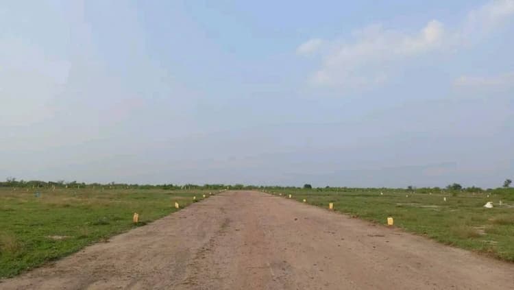 Plot sale