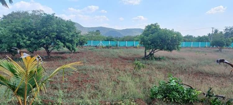Plot sale