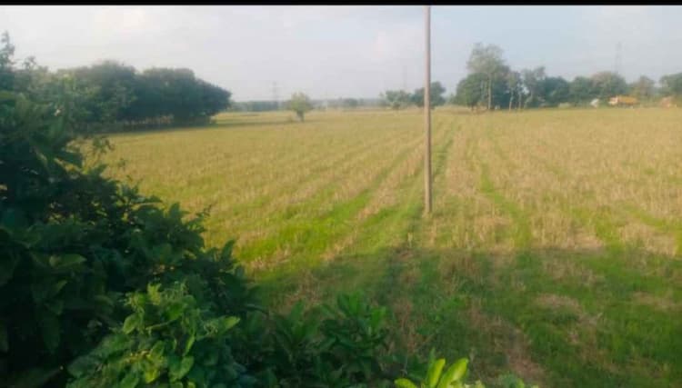 agri land for sale 