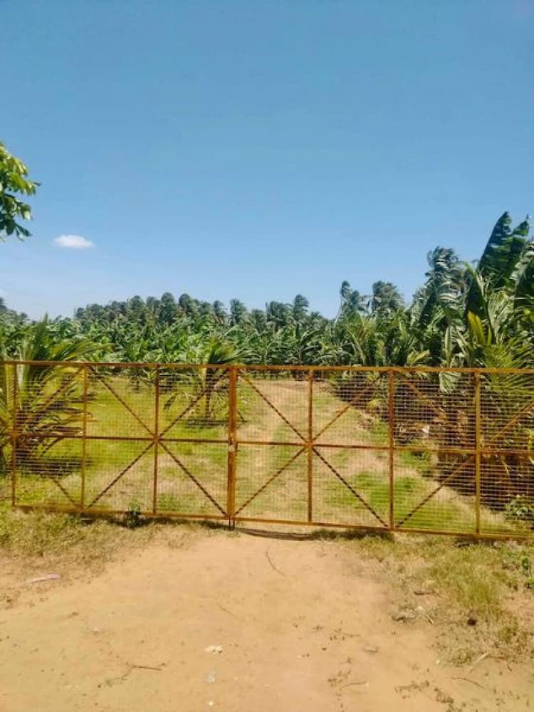 Single Property Image