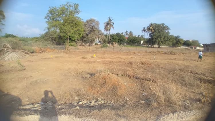 Land for sales