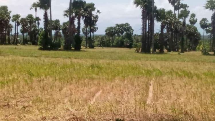 Land sale
